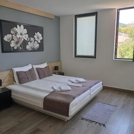 B&B Nataly 2 Soko Banja Exterior photo